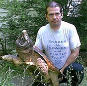 Common Snapping Turtle image